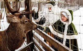 УДИВИТЕЛЬНАЯ БЕЛАРУСЬ: НОВОГОДНЕЕ ПУТЕШЕСТВИЕ В ГОСТИ К ЗЮЗЕ-ПОЛЕССКОМУ ДЕДУ МОРОЗУ