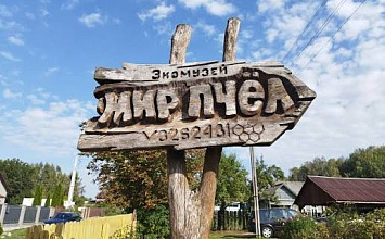 ЖИВОПИСНЫЕ ПУТЕШЕСТВИЯ: МАЛЯВАНКА, МЕД, ОРЕХОВЫЙ САД